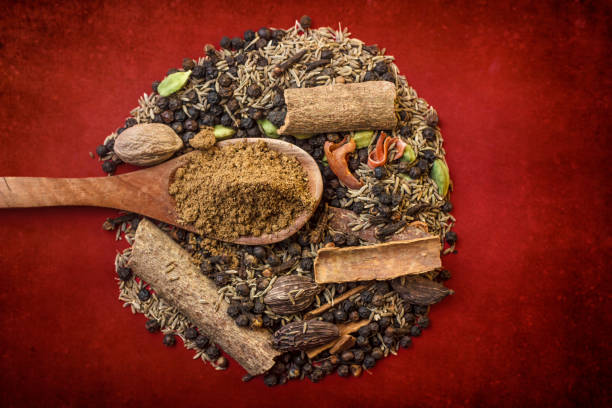 A wooden spoon filled with ground spice rests on a vibrant red background surrounded by various whole spices.