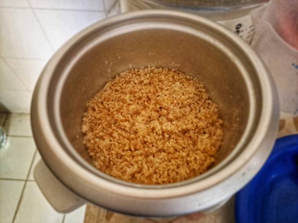 A bowl containing cooked brown rice inside a rice cooker.