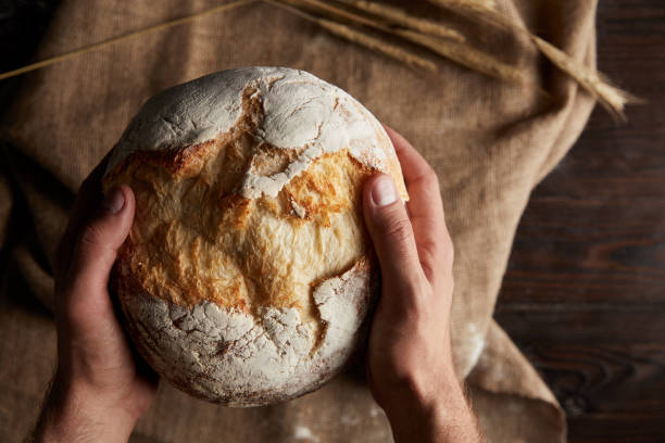 sourdough bread recipe