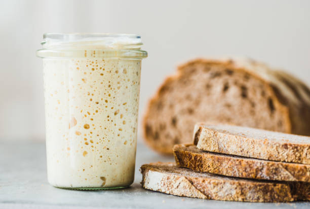 sourdough bread starter