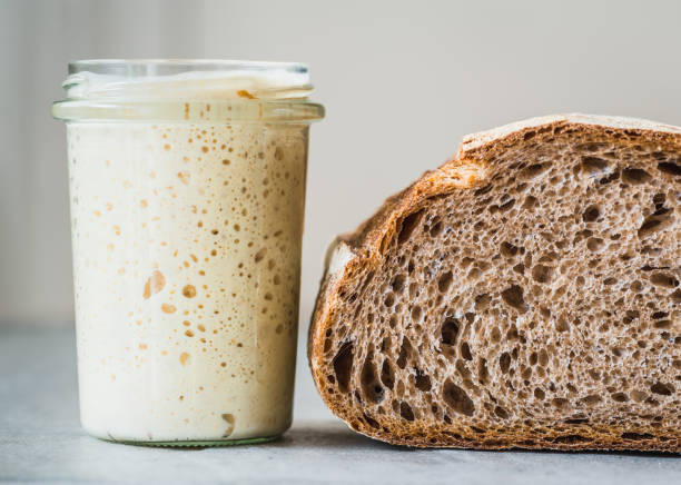 sourdough bread starter